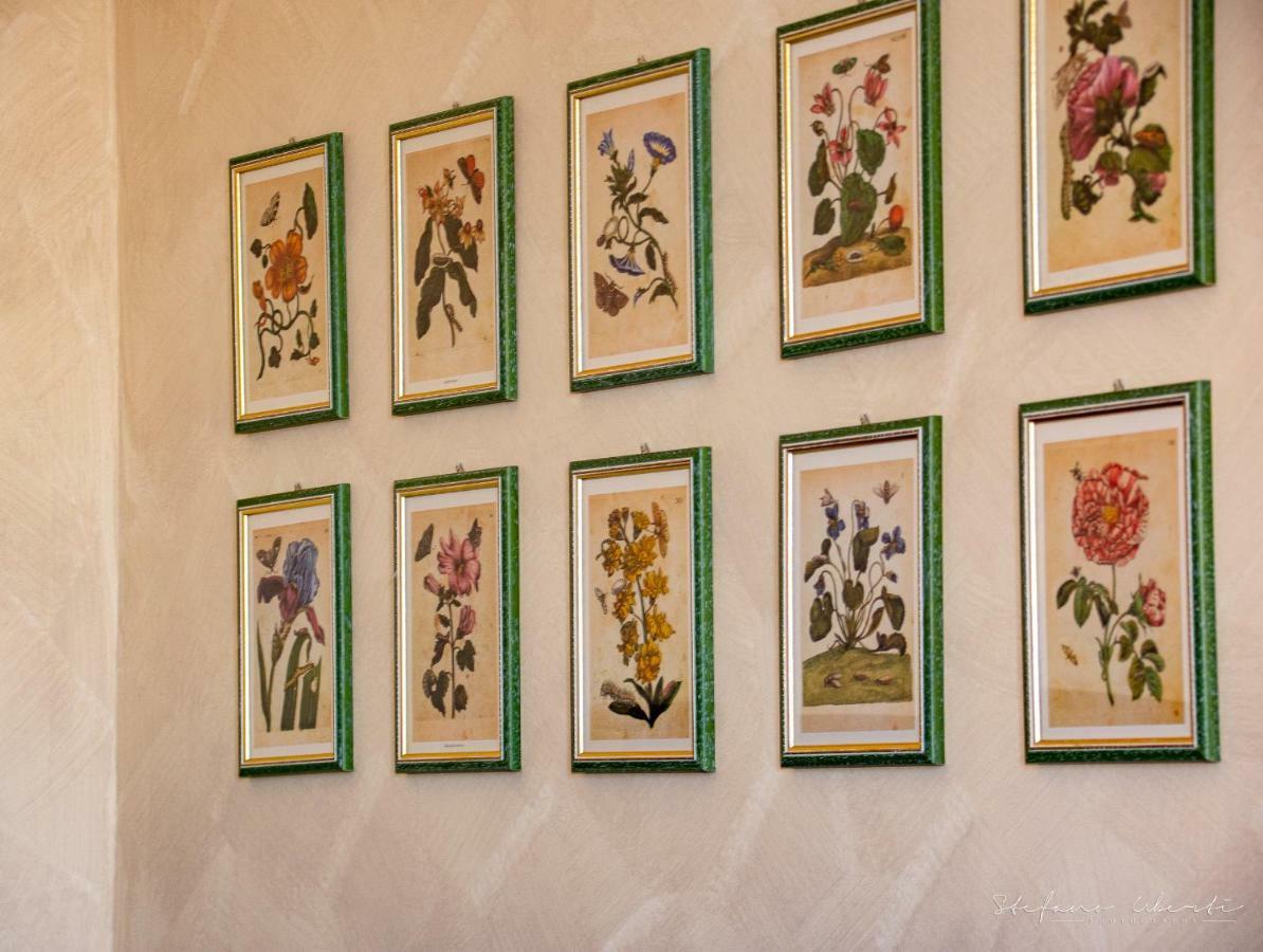 Villa Mascitti B&B Tortoreto Alto Zewnętrze zdjęcie