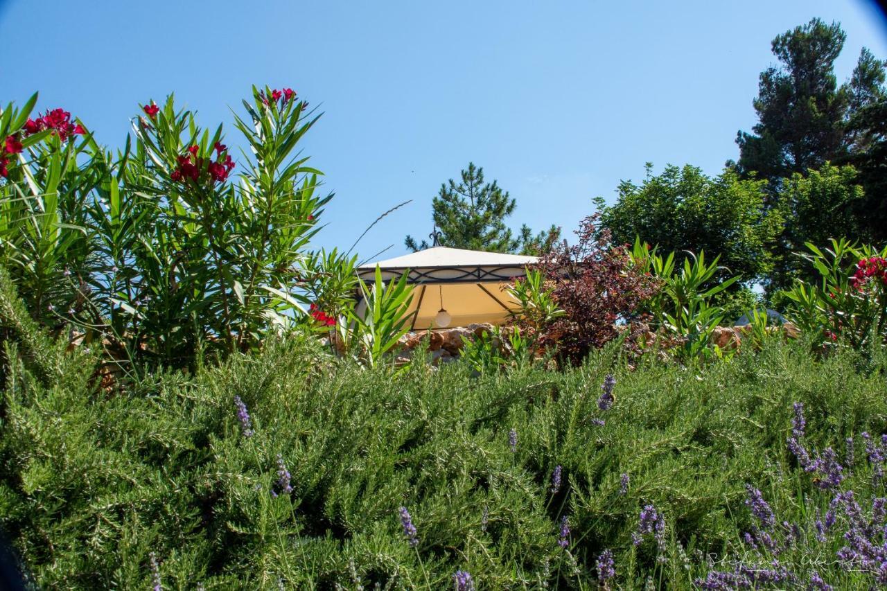 Villa Mascitti B&B Tortoreto Alto Zewnętrze zdjęcie