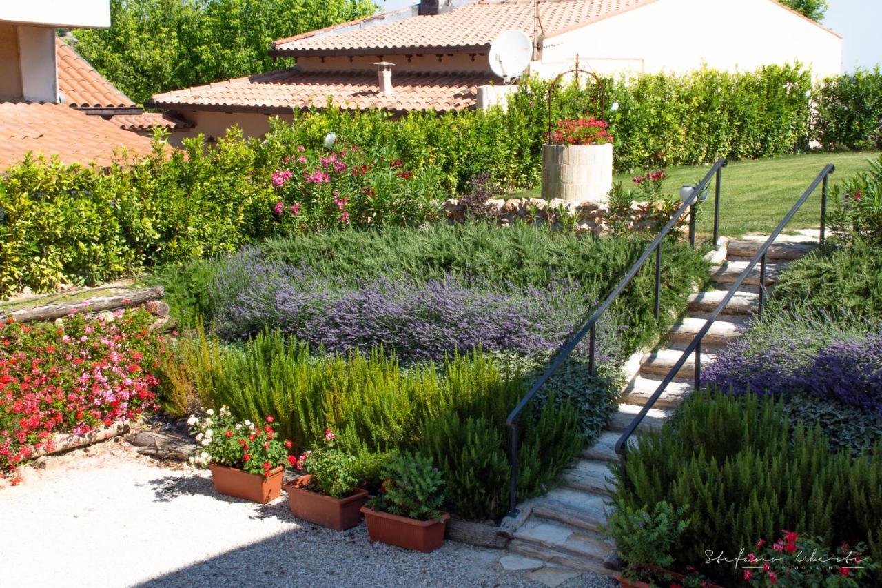 Villa Mascitti B&B Tortoreto Alto Zewnętrze zdjęcie