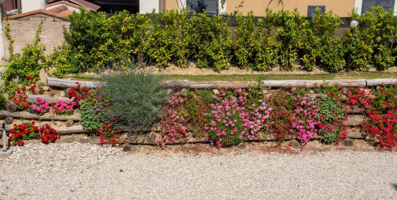 Villa Mascitti B&B Tortoreto Alto Zewnętrze zdjęcie